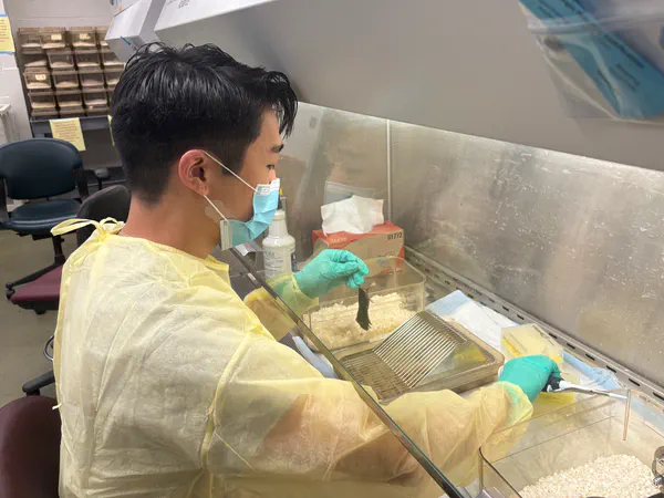 Mugnier Lab, Johns Hopkins University — Baltimore, MD (Summer 2024)