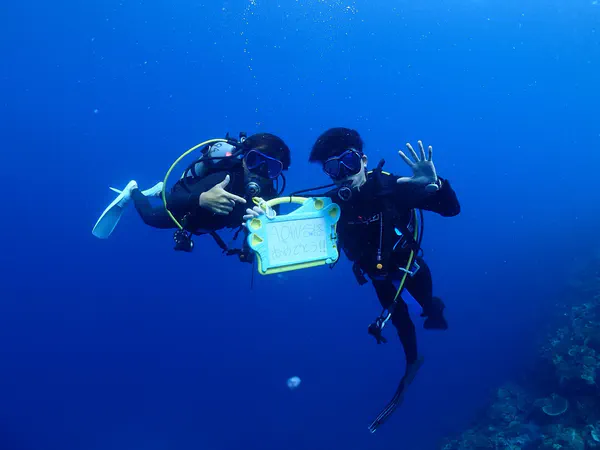 Scuba Diving, Certified PADI Advanced Open Water Diver