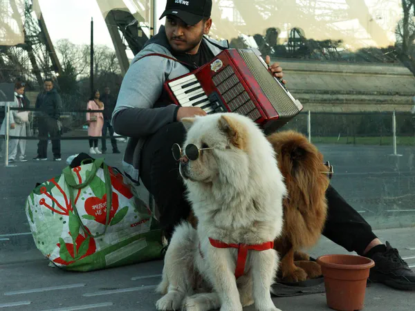Photography, A man and his dogs by the Eiffel Tower, Paris