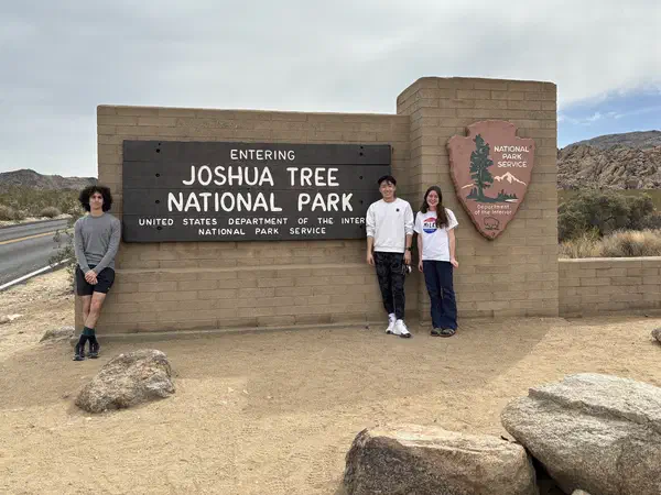 Joshua Tree, California, United States: At the entrance to Joshua Tree National Park.