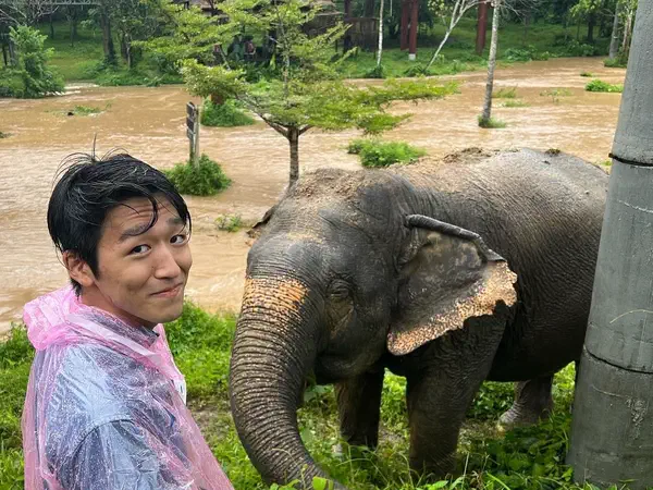 Phuket, Thailand: Beside an elephant at the sanctuary outside Phuket.