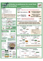 Sleep contributes to preference for novel food odours in Drosophila melanogaster