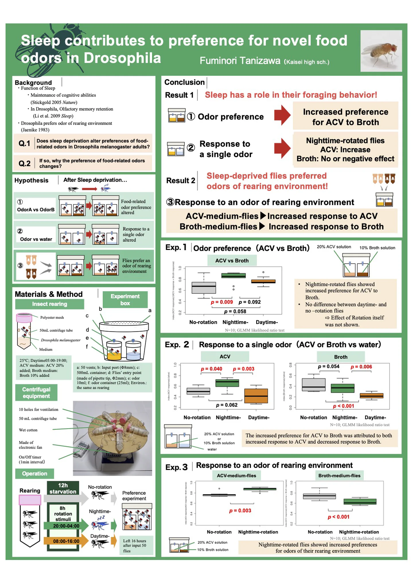 Preview of the poster or slides
