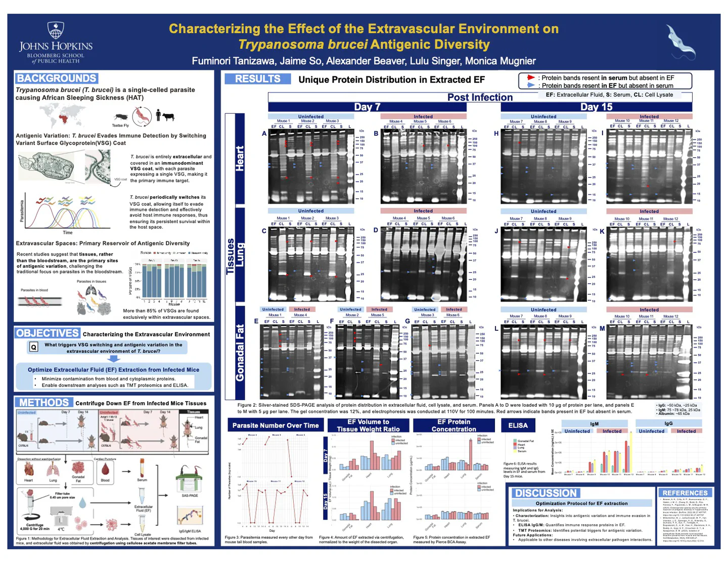Preview of the poster or slides